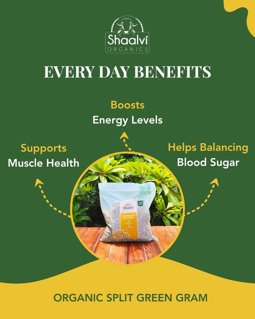 मूंग दाल छिलका सहित (Split Green Gram with Skin)