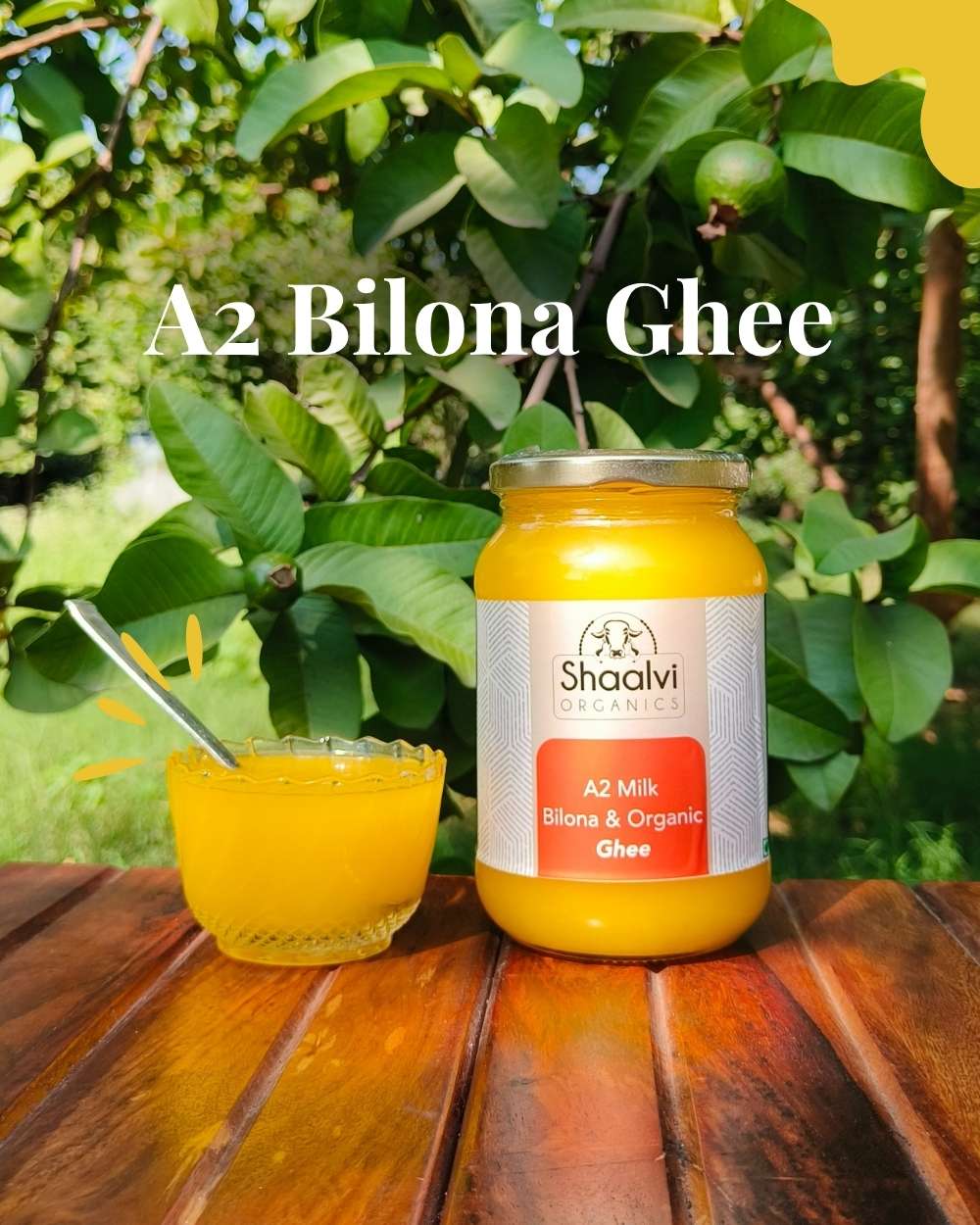 A2 बिलौना घी (A2 Bilona Ghee)