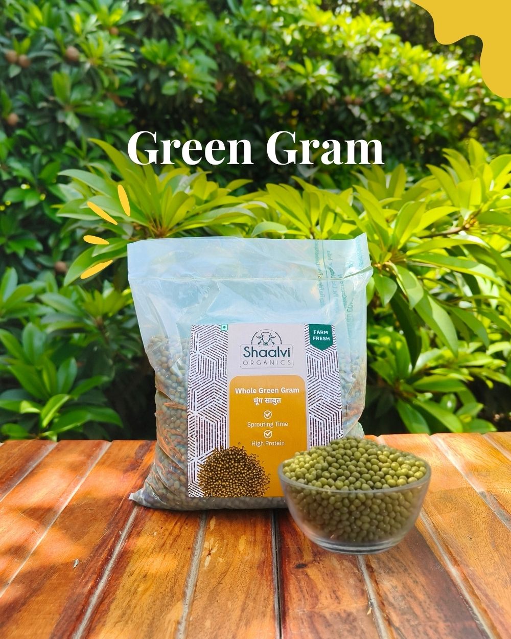 मूंग  साबुत (Whole Green Gram)