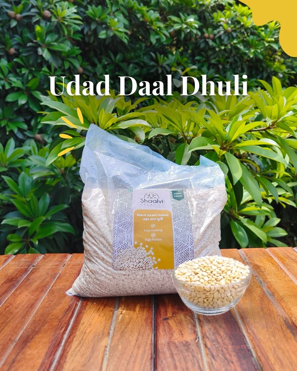 उड़द दाल धुली (Black Gram – Washed)