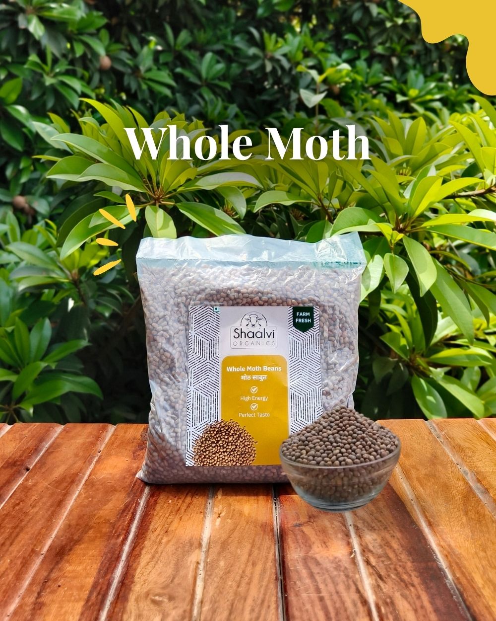 मोठ साबुत (Whole Moth Beans)