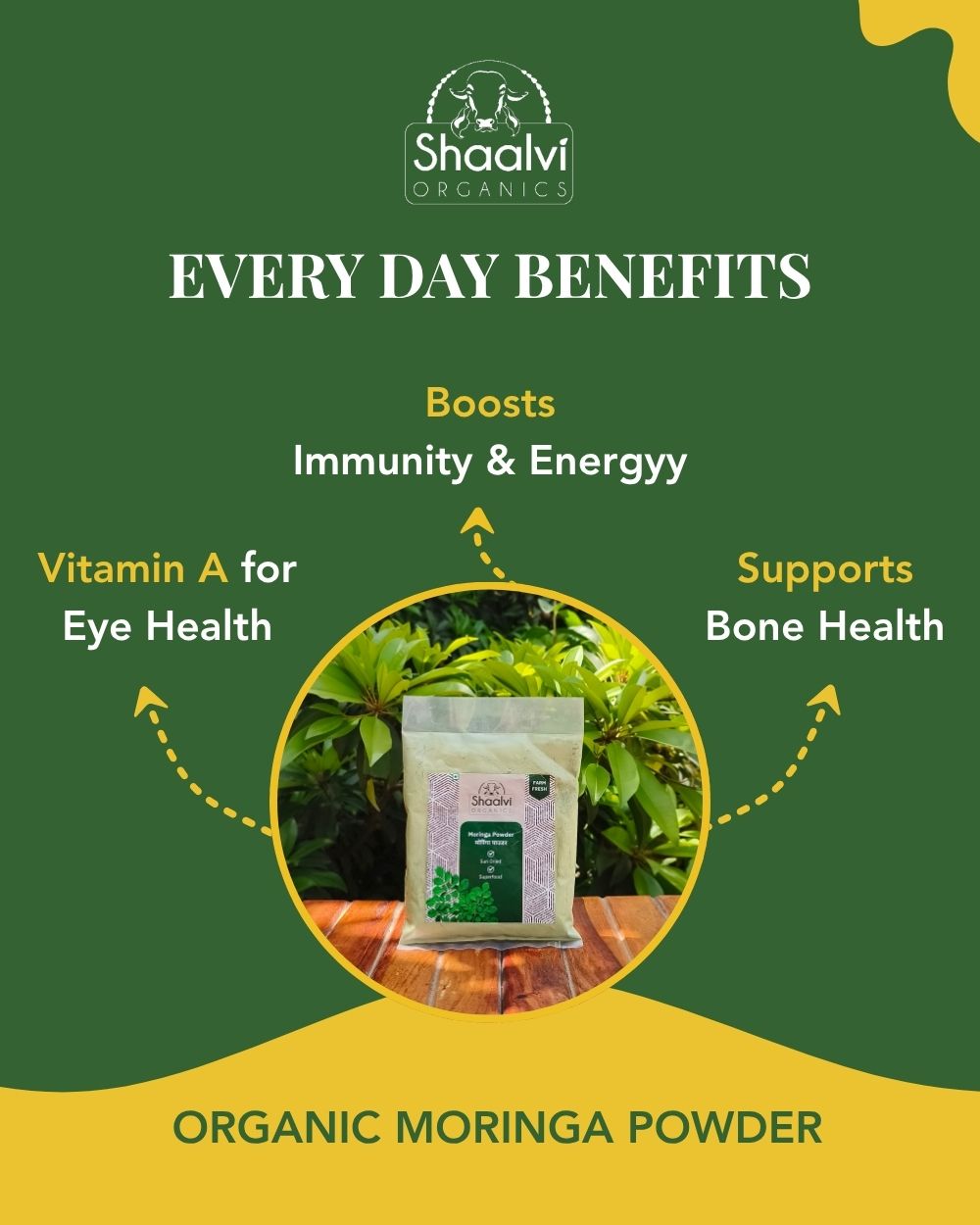 मोरिंगा पाउडर (Moringa Powder)